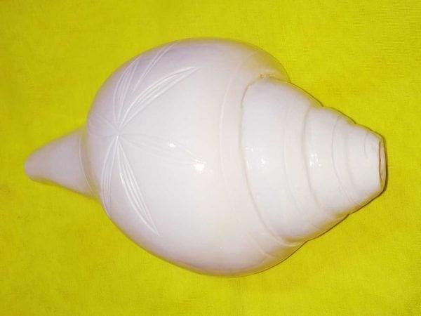 Vamavarti Blowing Shankh