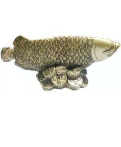 fengshui arowana fish height 6cm length 14cm