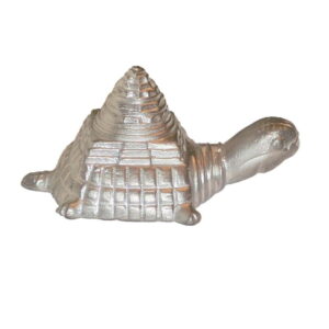 kachap yantra