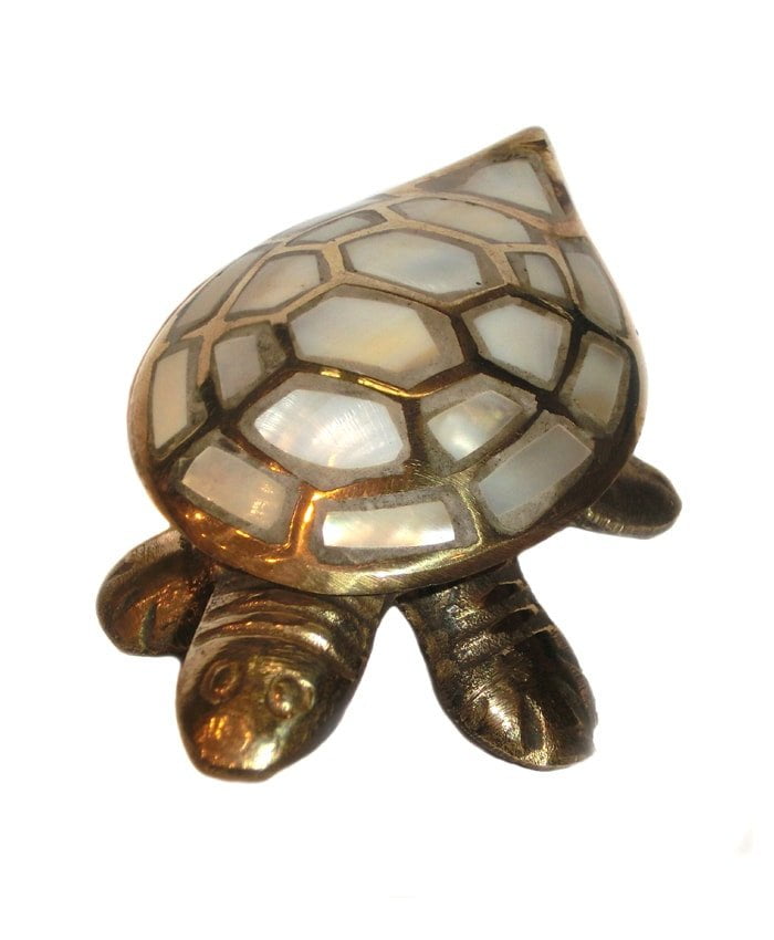 mother pearl tortoise 1
