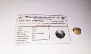 Machh Mani Fish Pearl Lab Certified Natural Browny Pearl with Pure Silver Locket