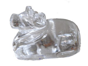 crystal Nandi