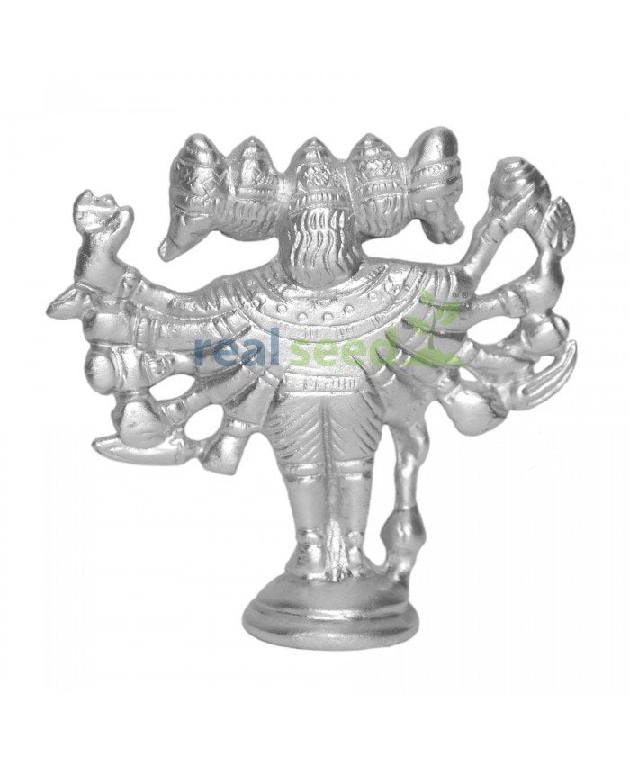 Parad Panchmukhi Hanuman 002 BB 700x850 1