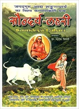 Saundarya Lahari in Hindi by Dr. Rudradev Tripathi