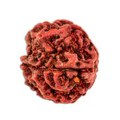 astrology image