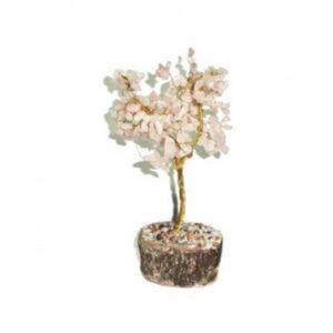 Fengshui Tree