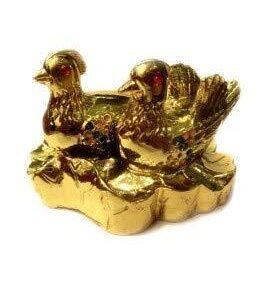 Mandarin Ducks Golden