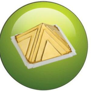 Protect - Car (Gold) V.pro