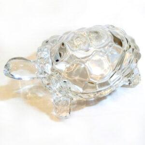 Crystal Tortoise
