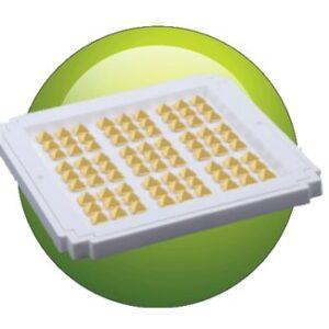 FMG - FlatMax Gold (GOLD)