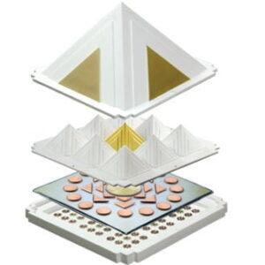 ProMax - Special