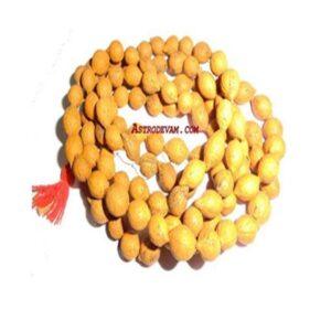 Putrajivi Rosary / Mala