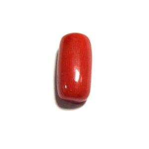 Red Coral Cylindrical - 5.25 Carat (RC-02)